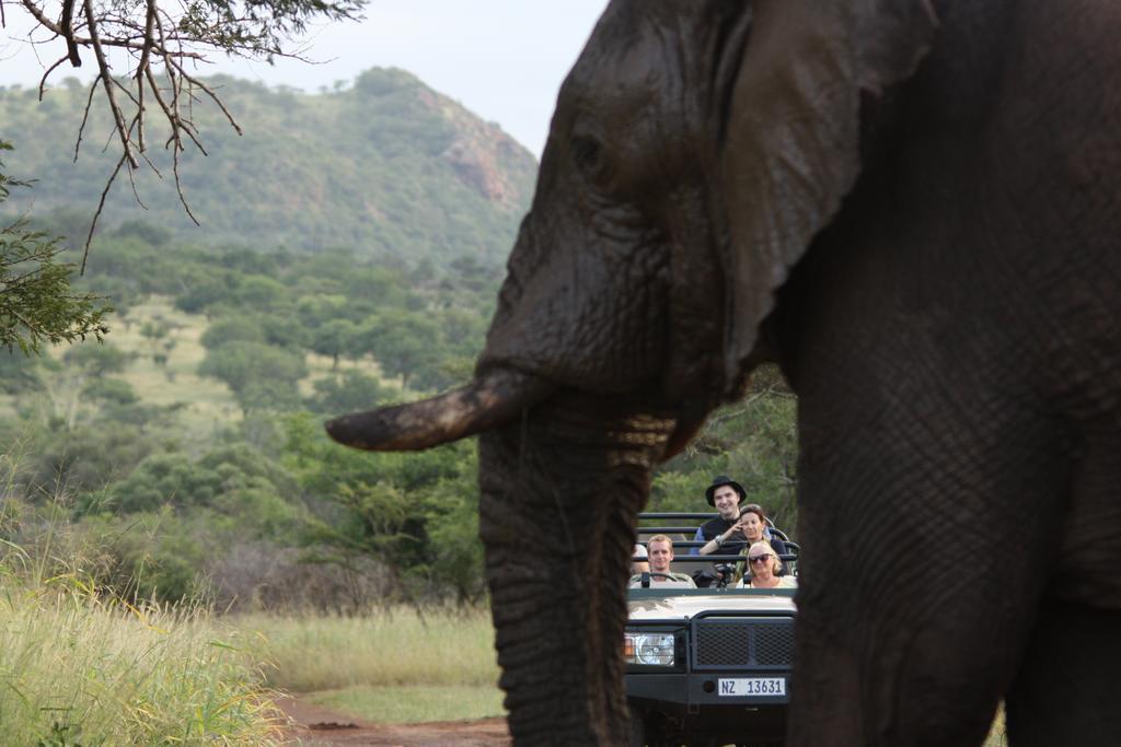 Leopard Mountain Safari Lodge Manyoni Private Game Reserve Εξωτερικό φωτογραφία