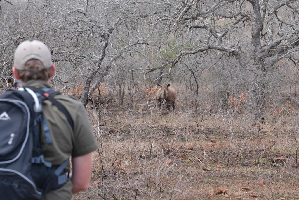 Leopard Mountain Safari Lodge Manyoni Private Game Reserve Εξωτερικό φωτογραφία