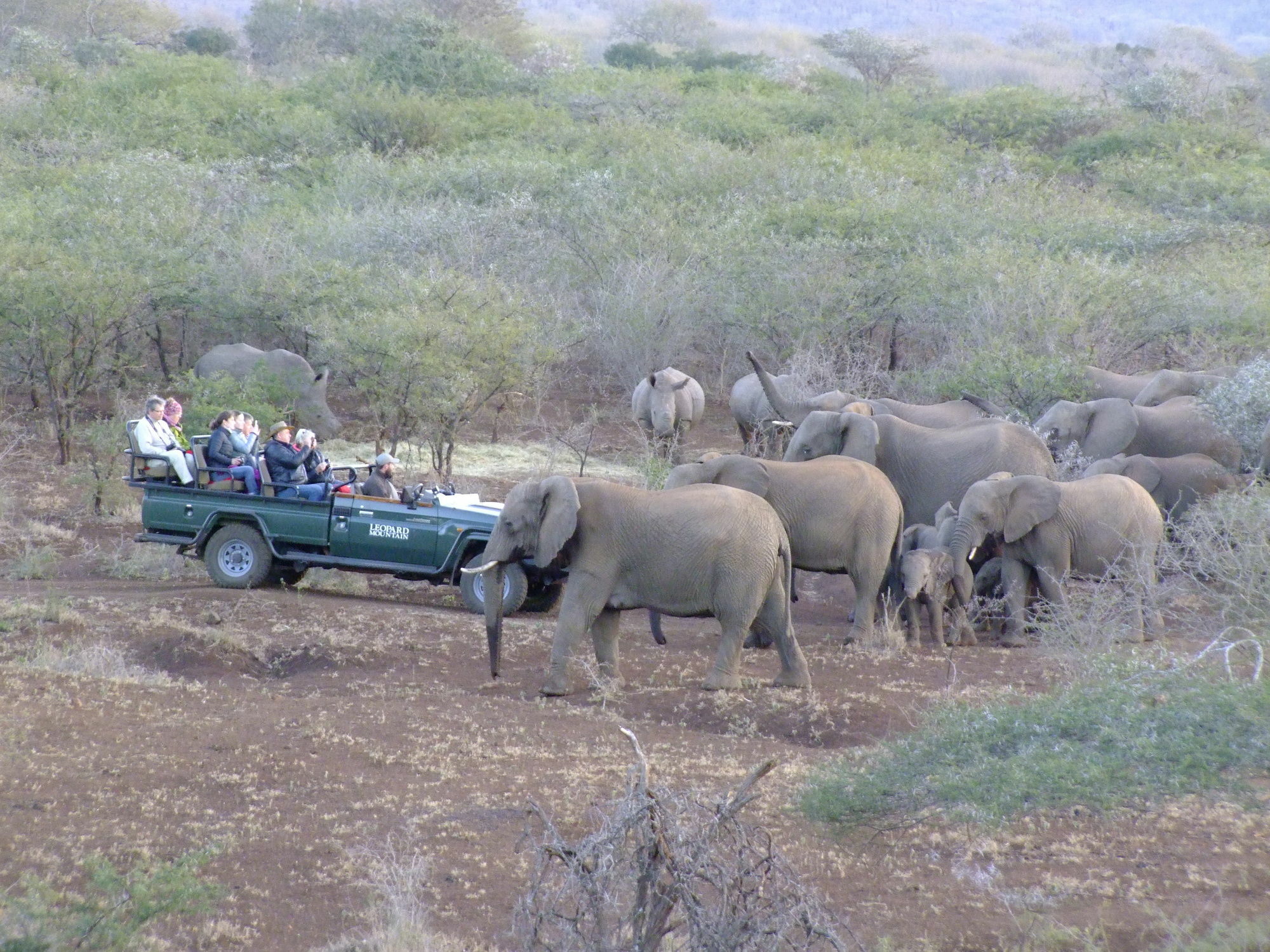 Leopard Mountain Safari Lodge Manyoni Private Game Reserve Εξωτερικό φωτογραφία